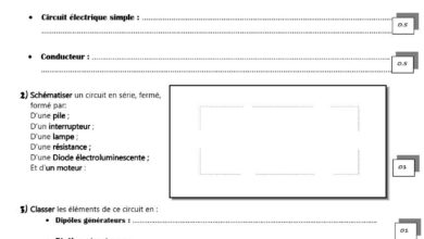 Devoir de Synthèse N°3 Collège pilote - Physique - 7ème