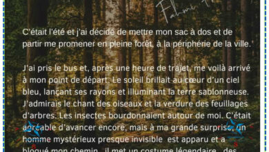 Devoir de synthèse Production écrite  n:3 + correction 