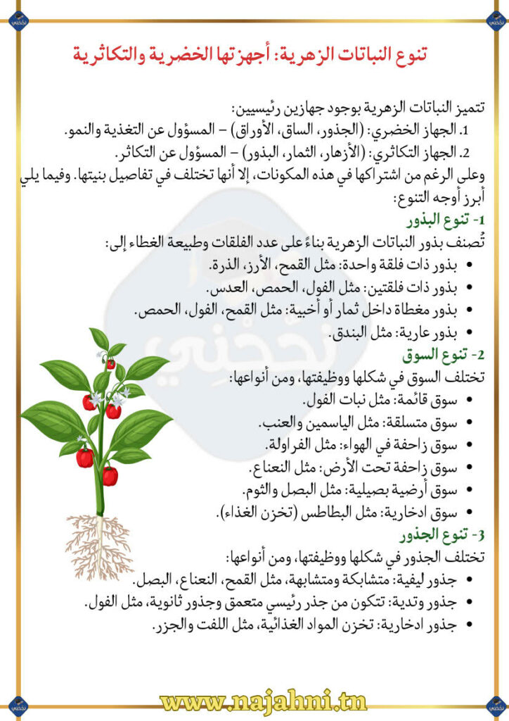 تلخيص درس تنوع النباتات الزهرية وتصنيفها 