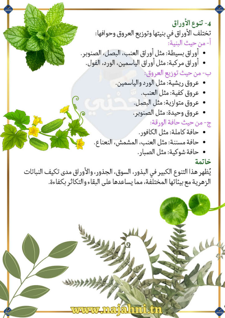 تلخيص درس تنوع النباتات الزهرية وتصنيفها 