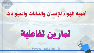 أهمية الهواء للإنسان والنباتات والحيوانات