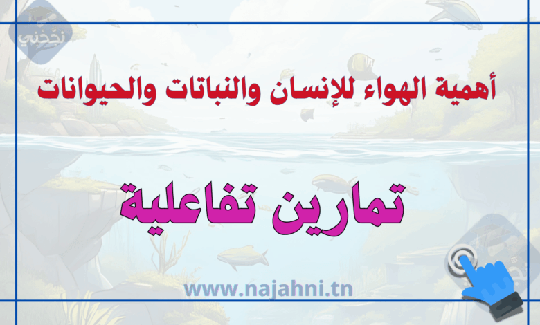 أهمية الهواء للإنسان والنباتات والحيوانات