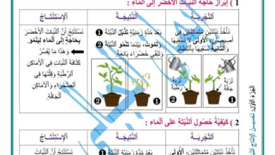 تغطية حاجة النبات الاخضر الى الماء 8 اساسي