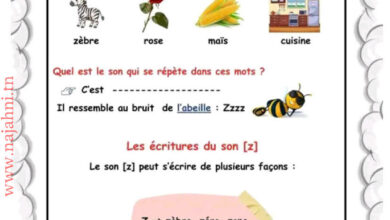 la lettre Z 4eme année