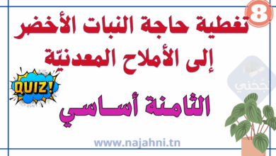 تغطية حاجة النبات الأخضر إلى الأملاح المعدنيّة - السنة ثامنة أساسي