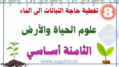 تغطية حاجة النبات الأخضر إلى الماء