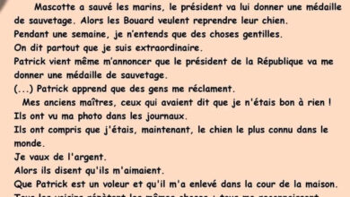 2025-2026 7ème année Français Devoir de contrôle n°2
