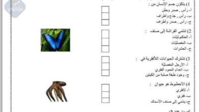فرض مراقبة عدد 2 في العلوم الطبيعية 7 اساسي مع الاصلاح للاستاذة رحاب حمريت 2025-2026