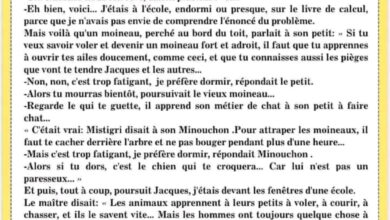 مناظرة تجريبية في الفرنسية 2024 سنة سادسة مع الاصلاح
