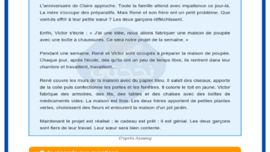 Examen de Lecture Compréhension en Français 5ème Année Primaire 3ème Trimestre avec Correction 2025-2026