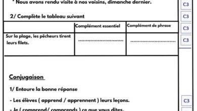 Examen langue 3ème trimestre 5ème année avec correction