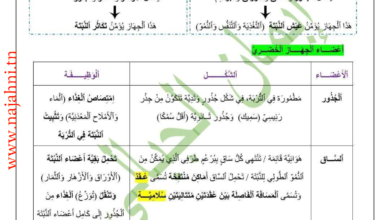 ملخص دروس علوم الحياة والارض الثلاثي الثالث - سابعة اساسي