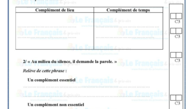 اختبار قواعد لغة فرنسية - الثلاثي الثالث - السنة السادسة ابتدائي 2024-2025