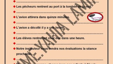 exercices grammaire et conjugaison Module7 6eme année