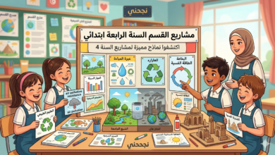 مشاريع القسم - السنة الرابعة ابتدائي