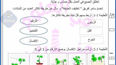 امتحان نهاية الثلاثي الثالث في الايقاظ العلمي سنة رابعة مع الاصلاح 2025-2026