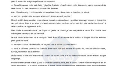 Devoir de synthèse n°3 avec correction – 8ème année de base