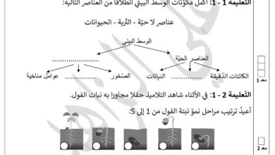 تقييم ايقاظ علمي السنة الخامسة الثلاثي الثالث مع الاصلاح 2026